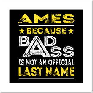 AMES Posters and Art